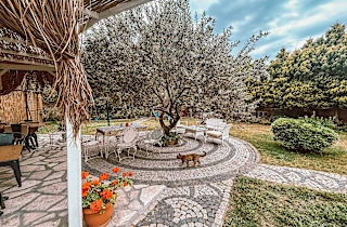 Cunda Selene Otel Genel 5